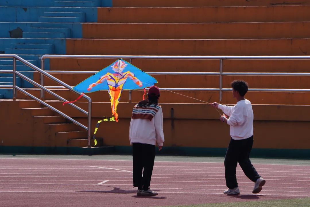 13.jpg 图片